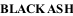 BLACK ASH